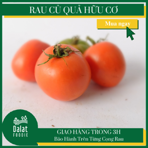 Cà Chua Beef 300G - [Giao hàng ngay tại TPHCM]