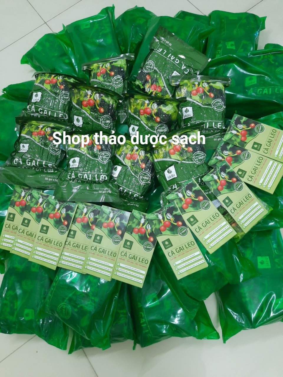 5KG TRÀ TÚI LỌC CÀ GAI LEO SADU