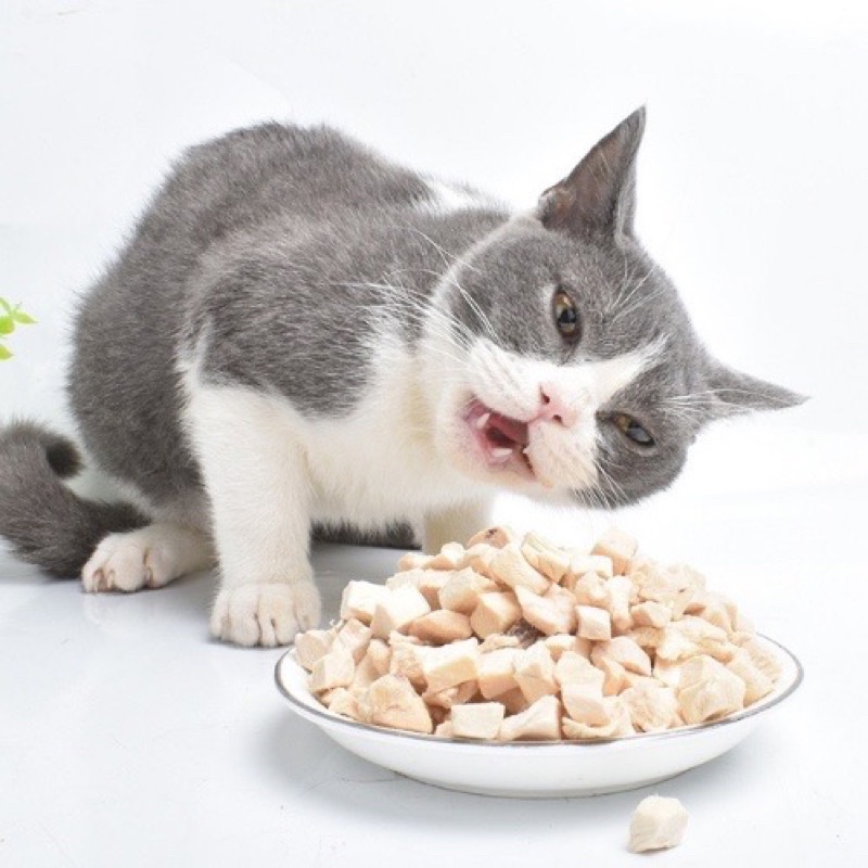 Thịt gà viên sấy cho chó mèo túi 500g - Pun Pun Petshop