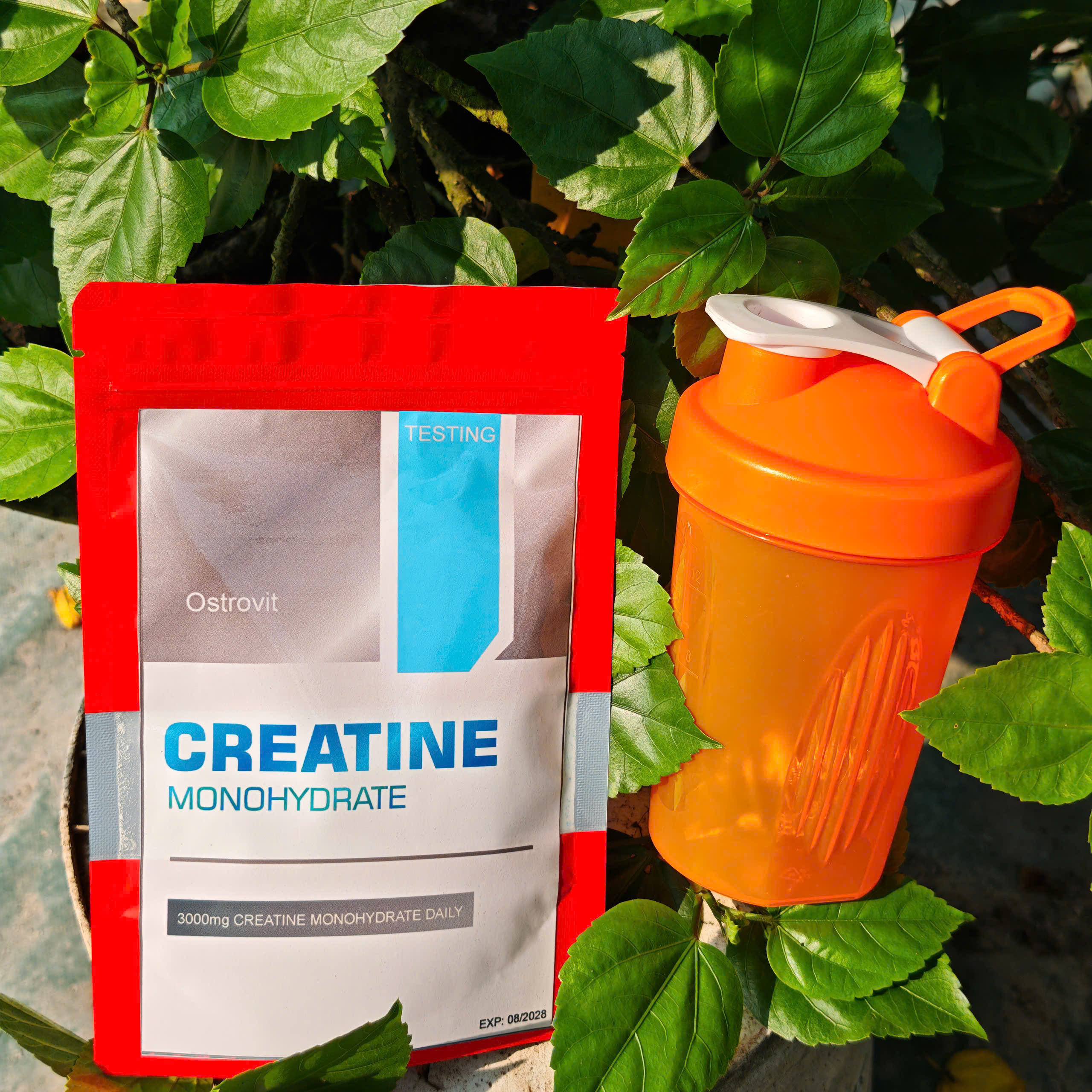 [Free Shaker Bottle] [Blueberry Flavor] Ostrovit Creatine Monohydrate (Trial Pack) - Whey World