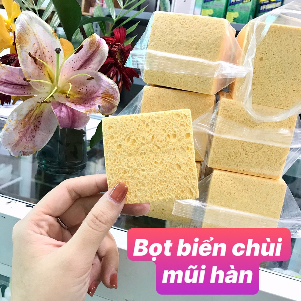 Combo 5 miếng bọt biển lau chùi vệ sinh mũi hàn