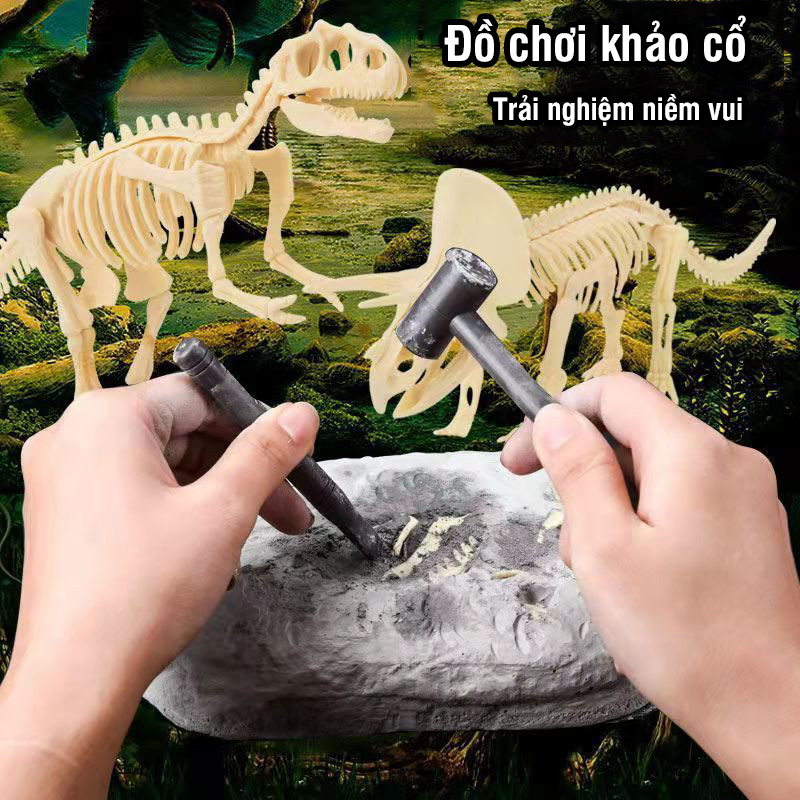 Đồ chơi khảo cổ, hóa thạch khủng long loại lơn cho bé