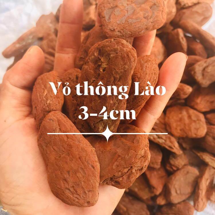 [Giảm 50% + quà tặng] Combo 5kg vỏ thông trồng lan nhập khẩu giá thể trồng lan cao cấp đã xử lí mài cạnh đẹp 3-4cm hàng loại 1 nhập khẩu từ Lào vỏ thông Mitabo
