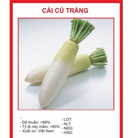 Hạt giống củ cải trắng 20gr