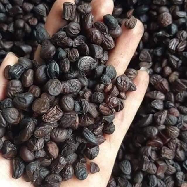 20 hạt dổi rừng đặc sản tây bắc
