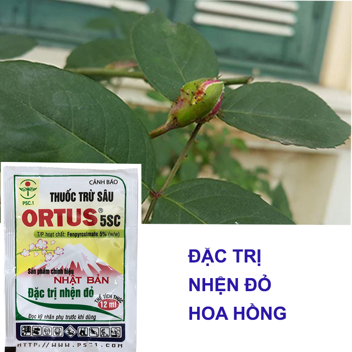 Thuốc diệt nhện đỏ, nhện trắng chính hiệu Nhật Bản Ortus 5SC