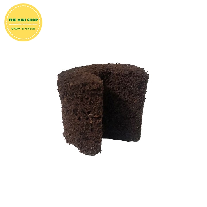 Mút hữu cơ ươm cây ươm kei ki chuyên cho phong lan cây giâm chiết cành - 1 cục
