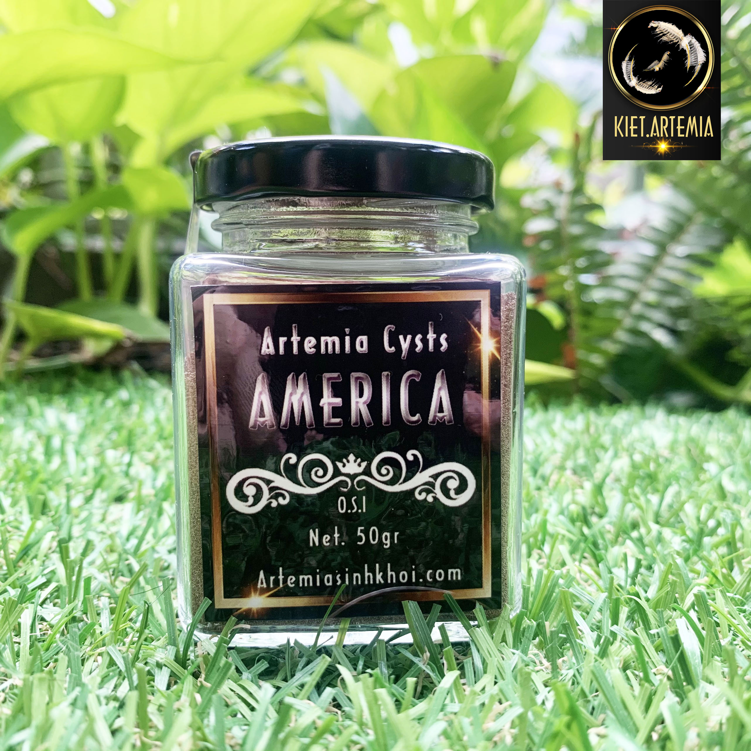 Artemia Mỹ Cao Cấp 50gr