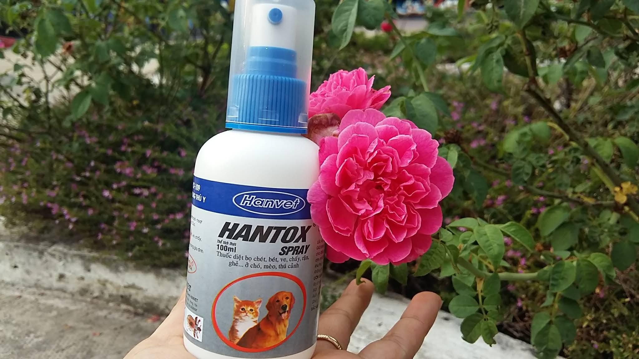 Chai xịt sạch ve rận cái ghẻ chó mèo hantox 100 ml