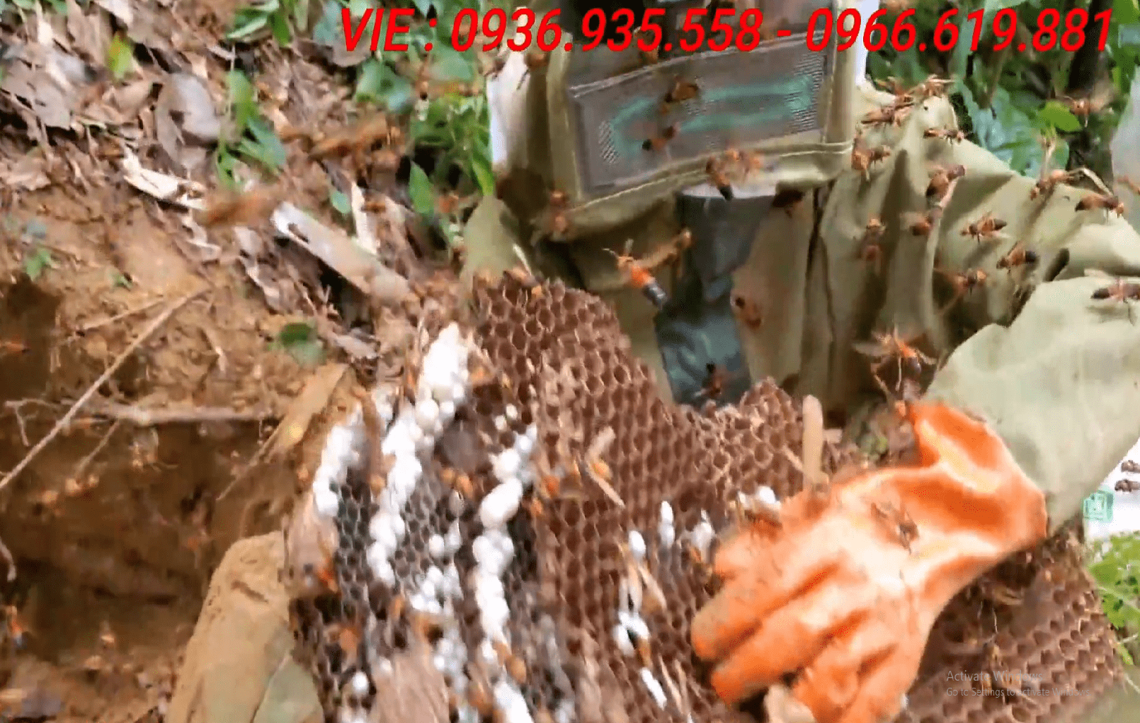 quần áo bắt ong rừng vải bò thủ công siêu an toàn và bền nhất