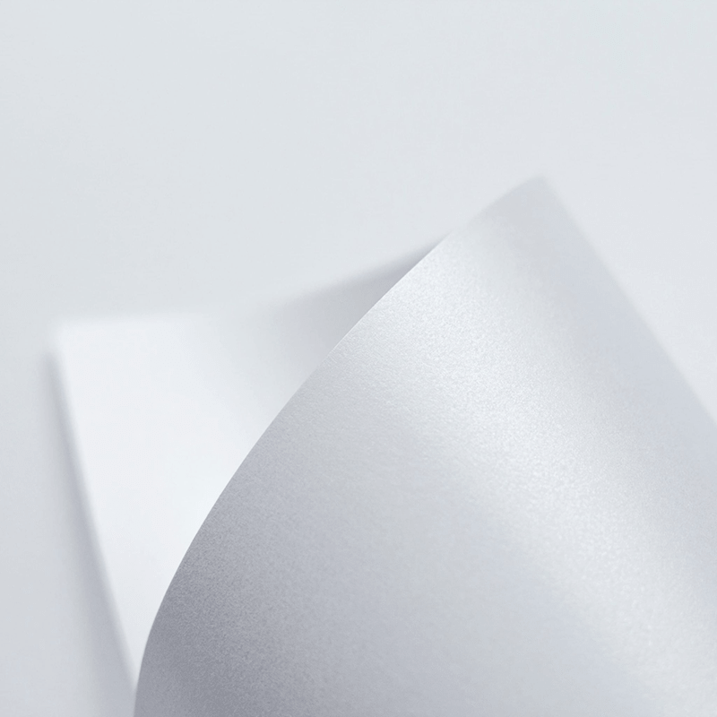 Một tờ giấy A4 dày dặn mẫu mới Local Brand Chính Hãng Midori Studio