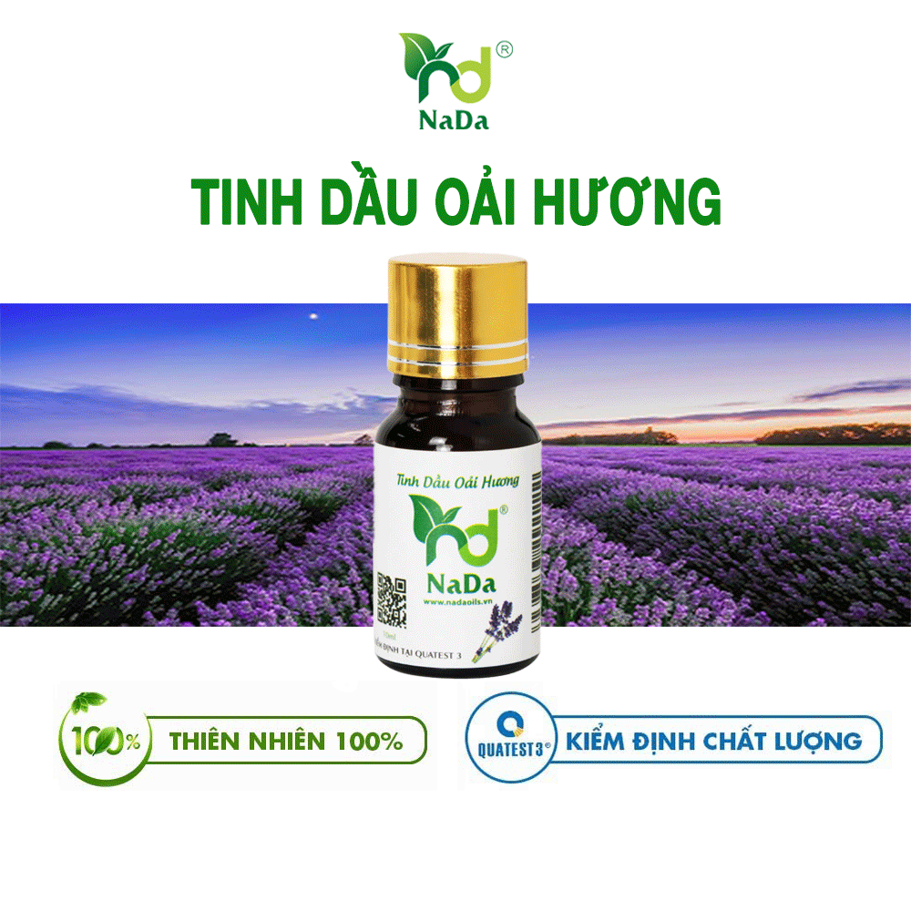 Tinh dầu Oải Hương (Lavender) nguyên chất Nada Oils | Kiểm định QT3 | Làm nước hoa, dễ ngủ, chống lão hóa, giảm stress