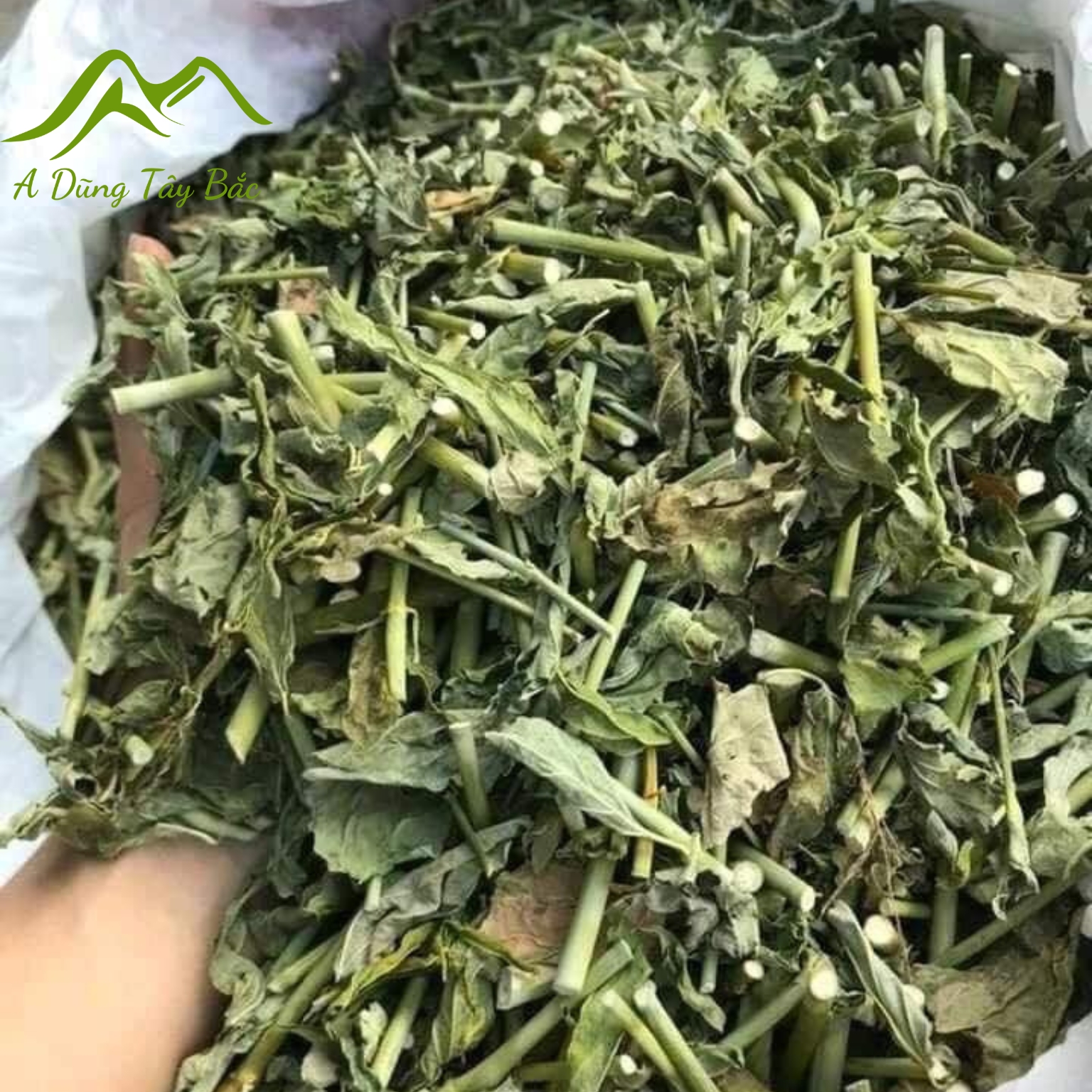 Cây bìm bịp khô loại 1 thu hái rừng, phơi khô tự nhiên từ cây bìm bịp, xương khỉ tươi