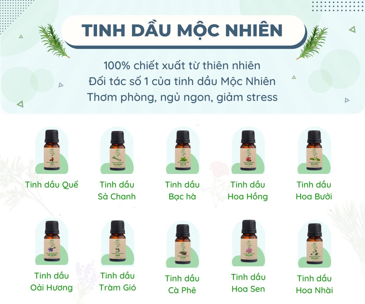 Tinh dầu đèn xông Nhà mộc, tinh dầu máy xông thơm phòng cao cấp - TyphoonMart