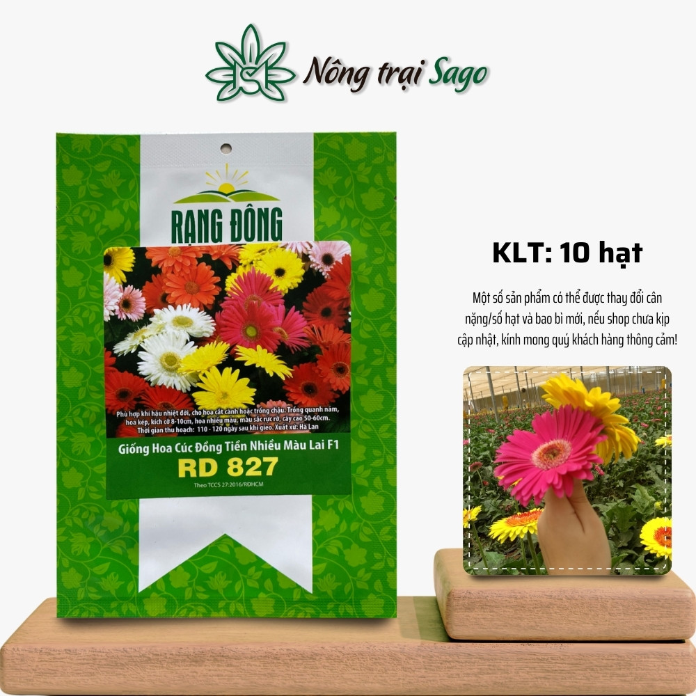 Hạt giống Hoa Cúc Đồng Tiền Nhiều Màu Rd 827 (10 hạt) cây cao 30-40cm, trồng quanh năm, hiệu Hạt giống Rạng Đông - Nông Trại Sago
