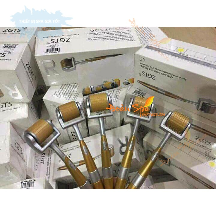 Cây lăn kim vàng trị sẹo rỗ tại nhà - Chính hãng