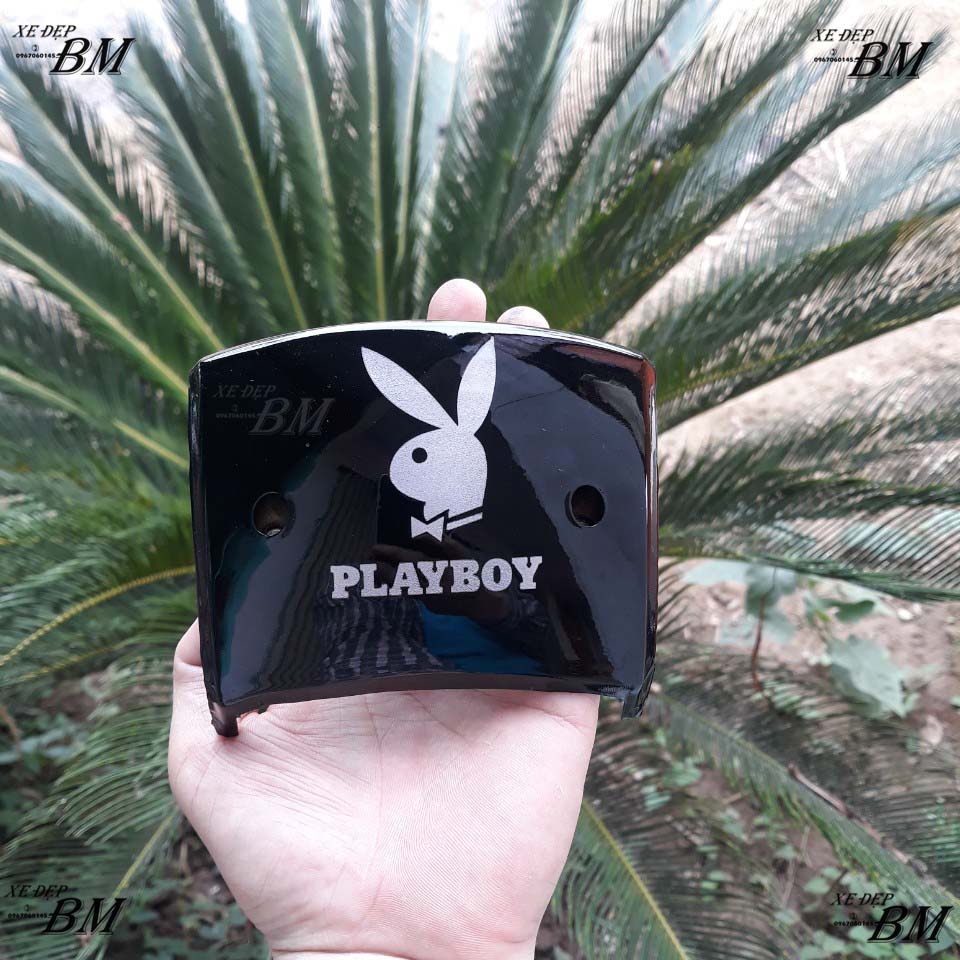 nắp hậu độ họa tiết đẹp cho wave nhỏ