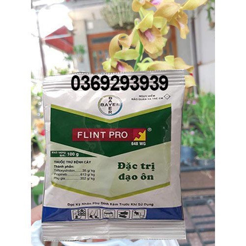 Flint Pro 648WG trừ nấm bệnh thán thư, đốm lá cây cảnh và cây trồng