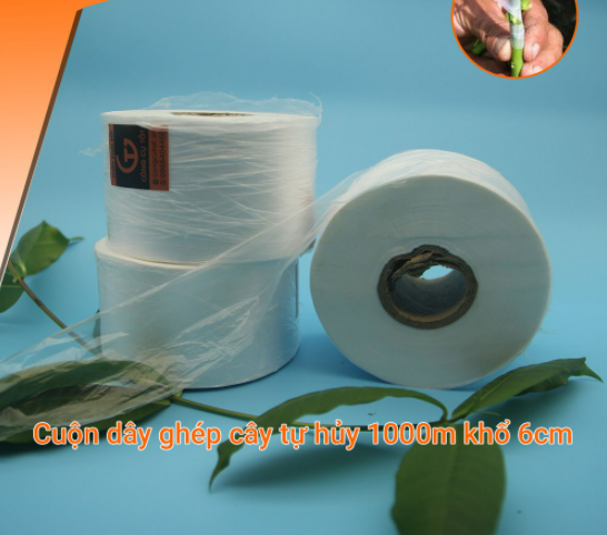 Dây ghép cây tự hủy cuộn 1000m khổ 6cm