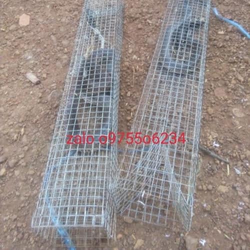 lồng bẫy rắn 2 hom dài 60cm