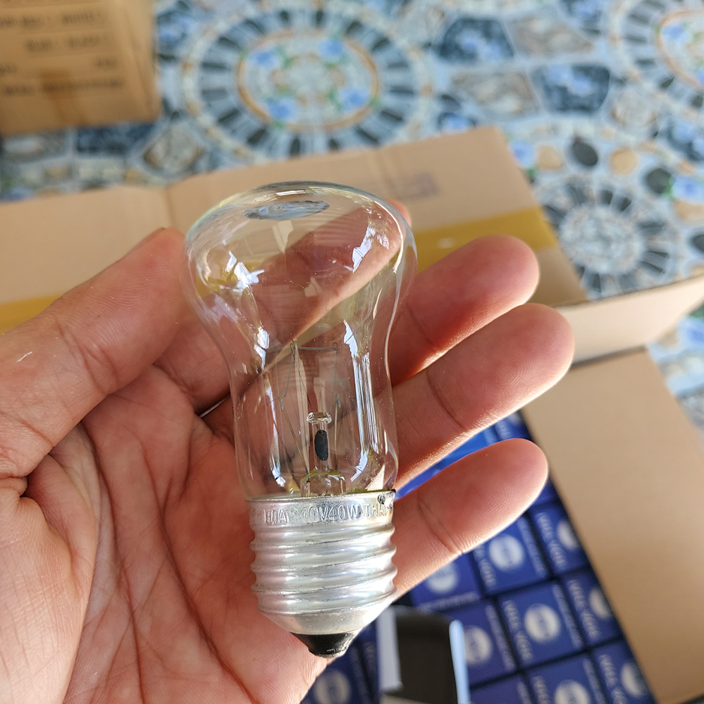 [HCM]Combo 10  Bóng đèn sợi đốt 60w Trắng trong dùng ấp trứng