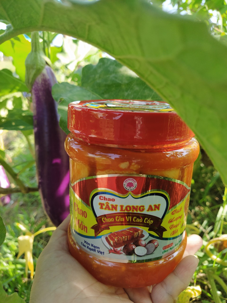 Chao môn đặc sản tân long an ăn là ghiền