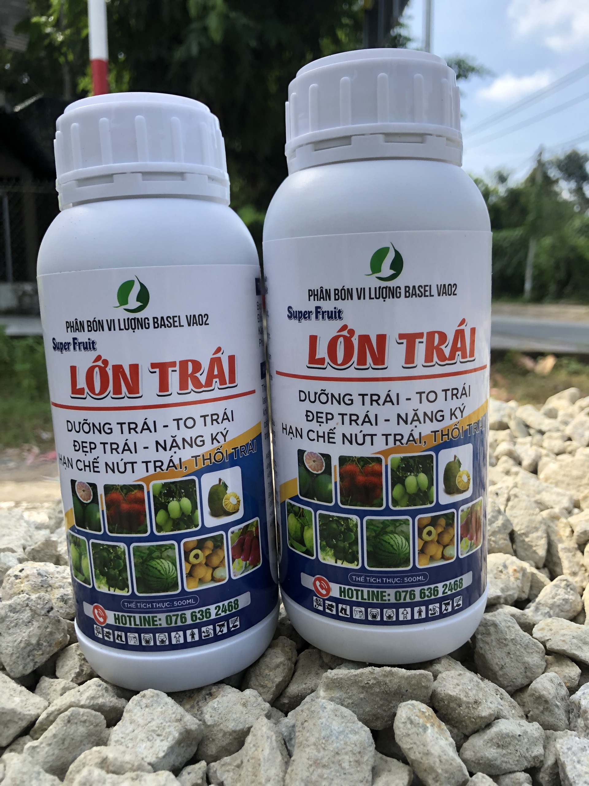 Lớn trái, đẹp màu trái, nặng kí - phân bón super fruit lớn trái