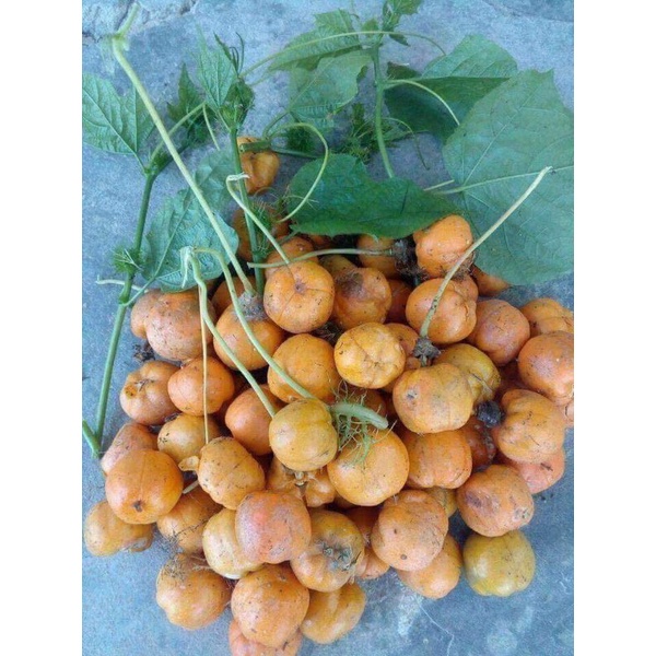 Quả lạc tiên khô thơm ngon 100g