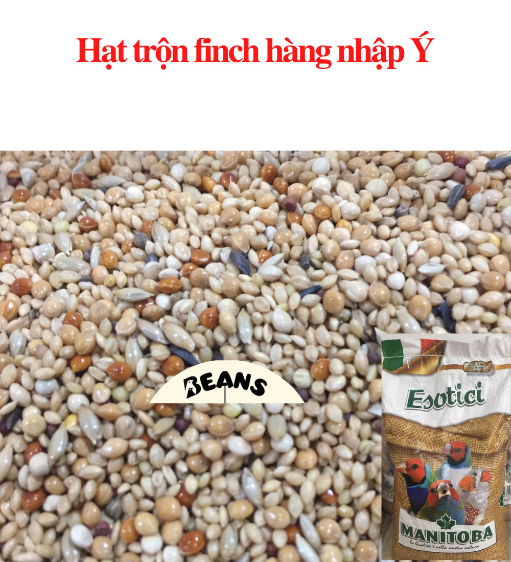 Hat trộn finch hàng nhập ý thức ăn dành cho chim manh manh, chim 7 màu , sắc nhật, bạc má