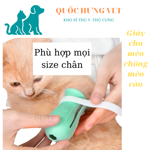 Miếng bọc chân cho chó mèo - quốc hưng vet