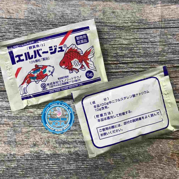 Tetra nhật - phòng ngừa và trị bệnh cho cá cảnh - tetra