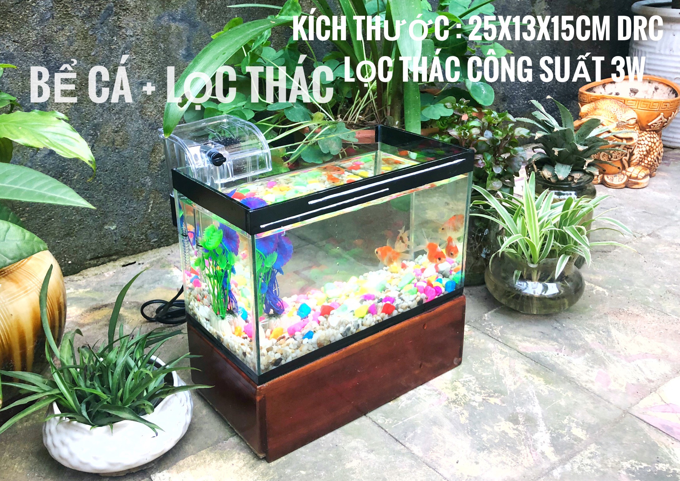bcx Bể cá mini 25cm kèm lọc thác - tặng sỏi, vỏ sò, thức ăn cá