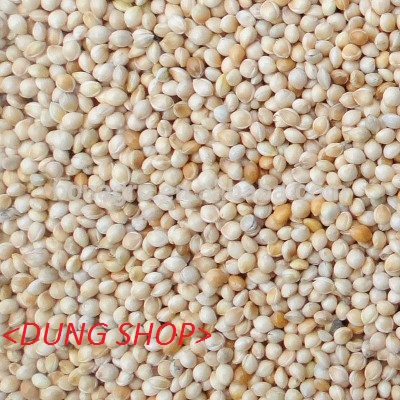 1kg hạt kê trắng cho chim vẹt finches