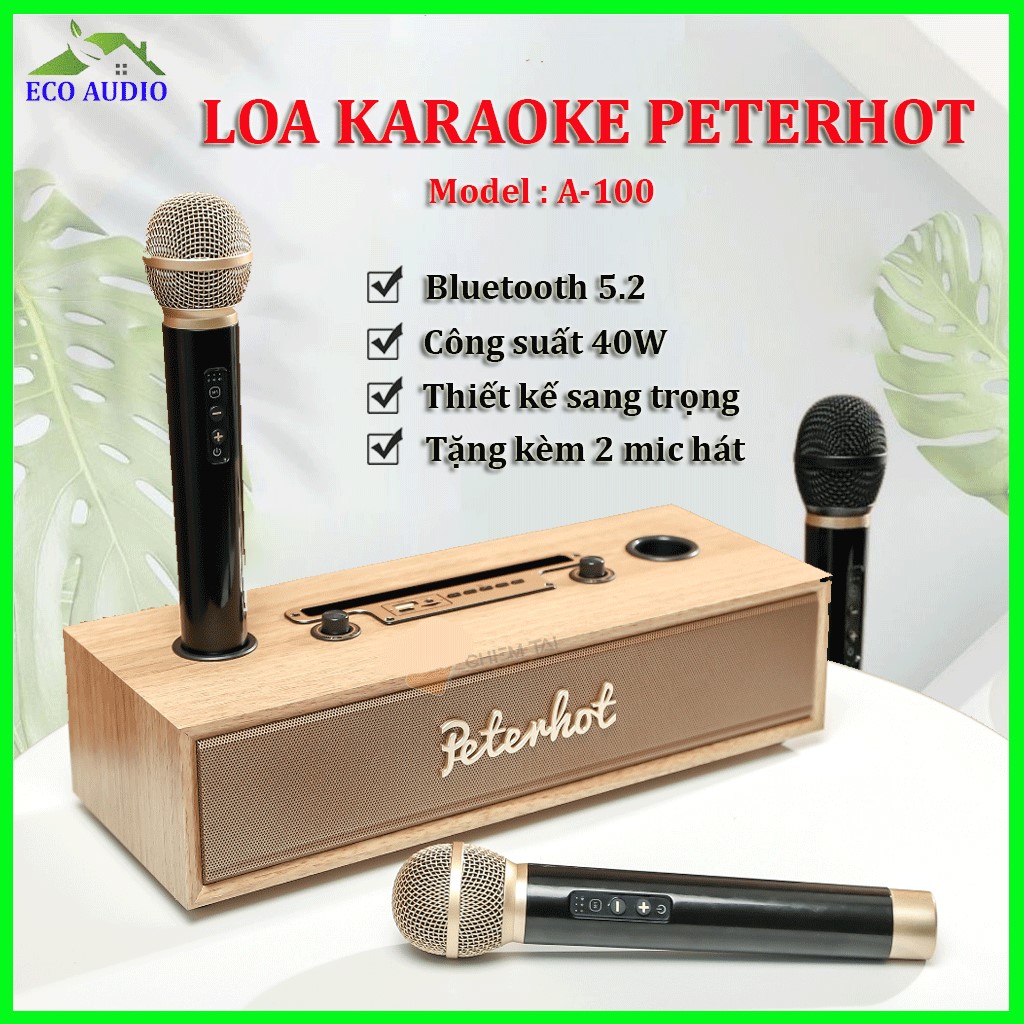 Loa karaoke bluetooth 2 mic peterhot a100 công suất 40W, Loa karaoke gia đình pin khủng âm thanh cực đỉnh, Loa bluetooth