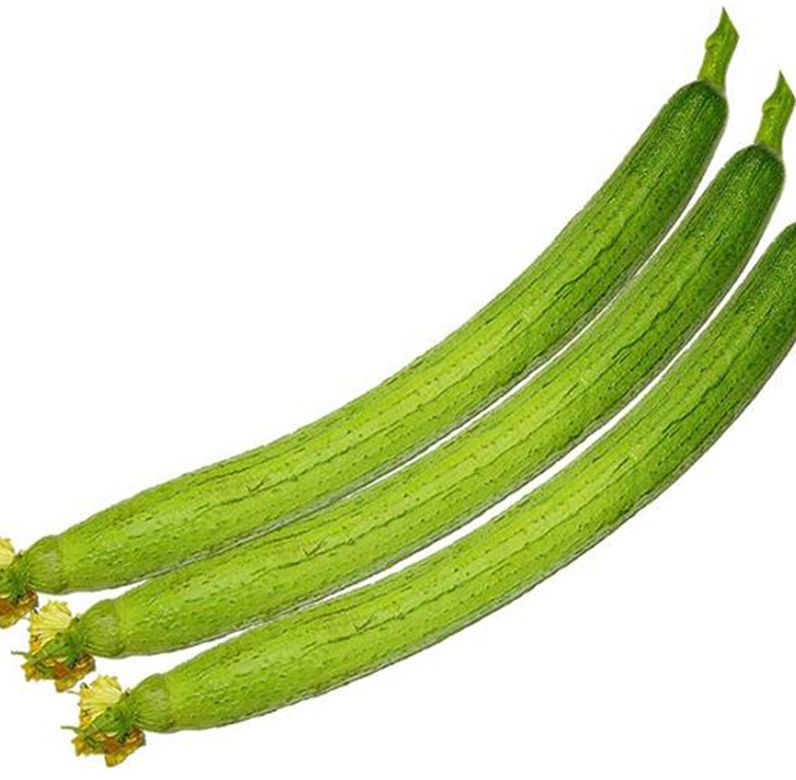 Hạt giống mướp hương siêu dài