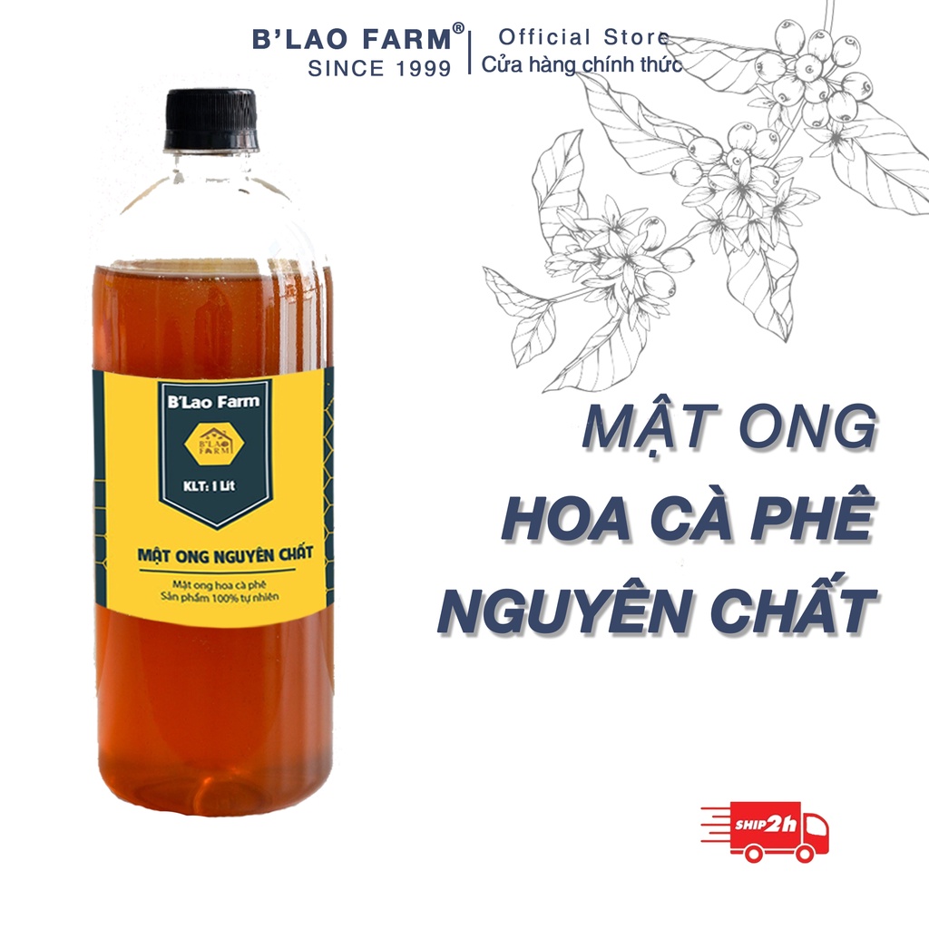 Mật ong nguyên chất hoa cà phê B lao Farm xuất xứ Lâm Đồng dành cho xuất