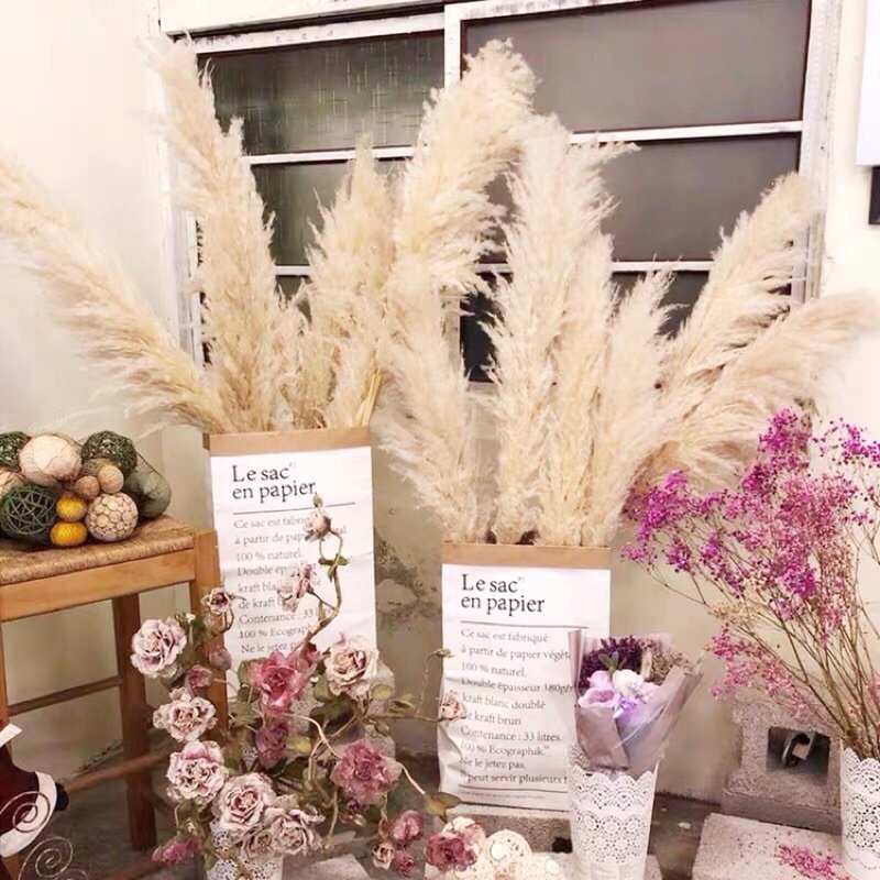 ⭐️video thật⭐️cỏ lau khô màu trắng nhập khẩu pampas
