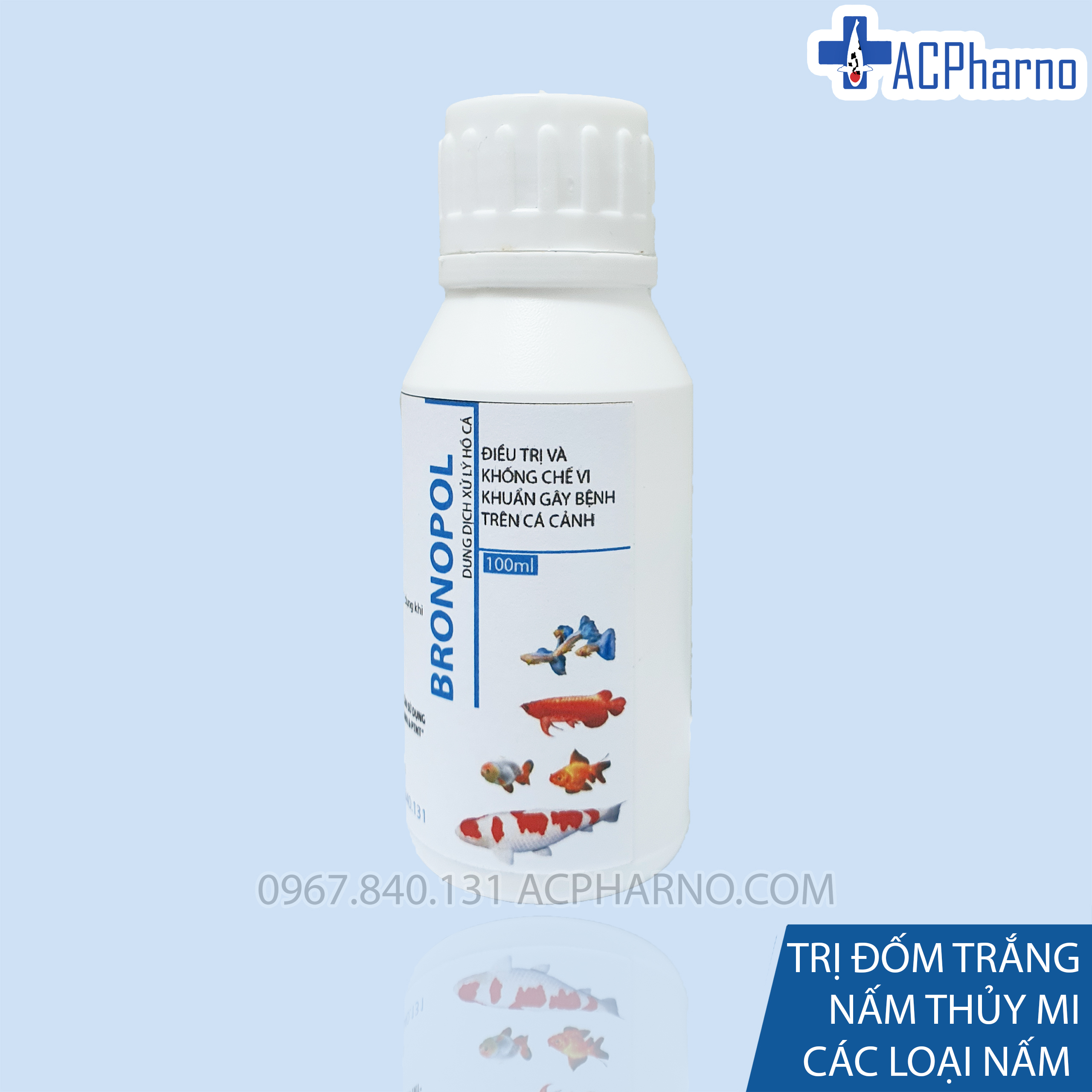 [HCM]Thuoc chữa và trị nấm trắng  lổ đầu trên cá cảnh Bronopol ( cá koi cá rồng cá vàng la hán guppy và dành cho các loại cá nước ngọt nước măn cá biển) 100ml Trị lủng đầu nấm thủy mi nấm đầu