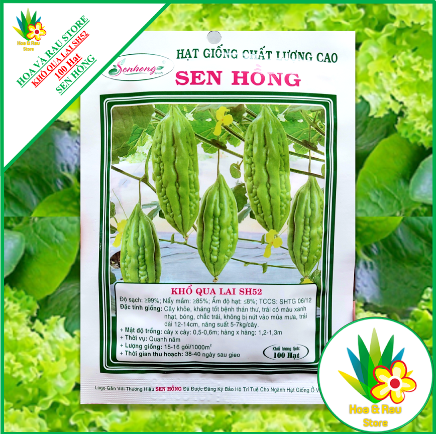 Hạt Giống Khổ Qua Lai F1 SH52 - Gói 100 hạt (Trái Ngắn) - Sen Hồng - Hoa và Rau Store - Mướp Đắng - Ổ Qua