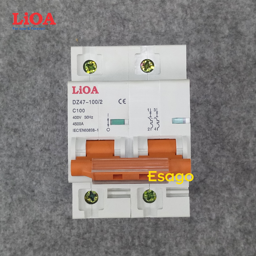[100A] Cầu dao tự động APTOMAT chống quá tải và ngắn mạch LiOA 2 cực 100A