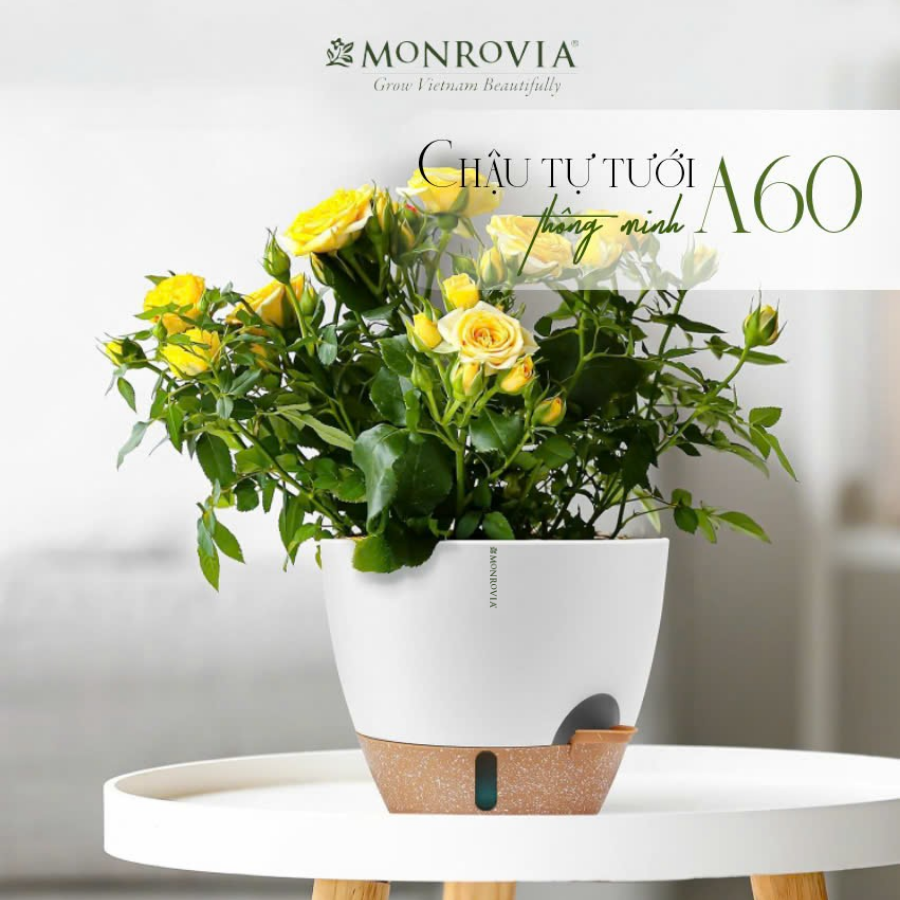 Chậu trồng cây tự tưới thông minh MONROVIA cho cây trong nhà hoặc ngoài trời, decor, văn phòng
