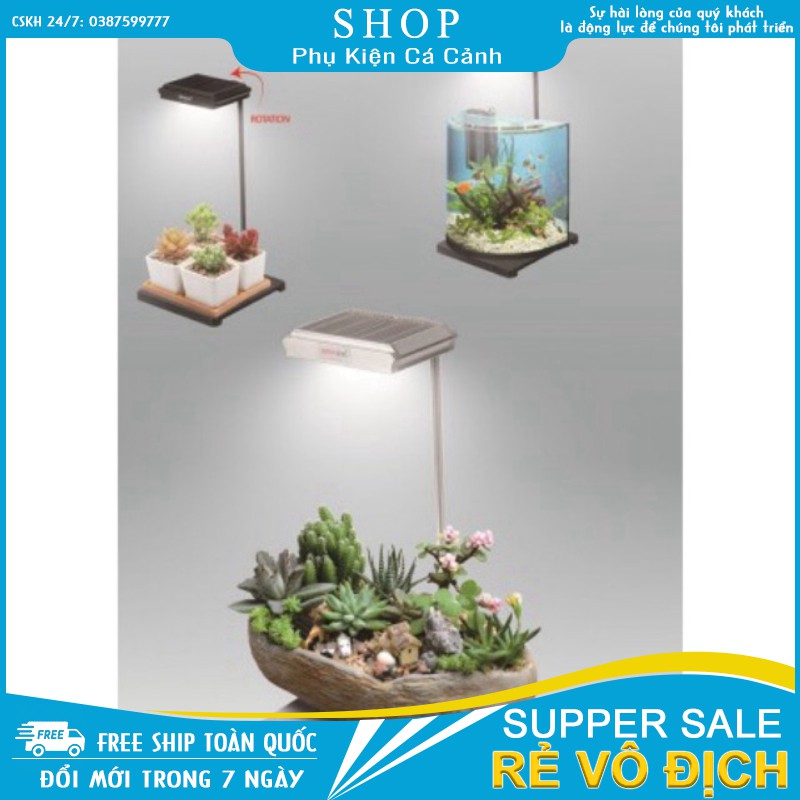 Đèn led Xinma trắng 38cm cho bể cá, tiểu cảnh, hồ bán cạn