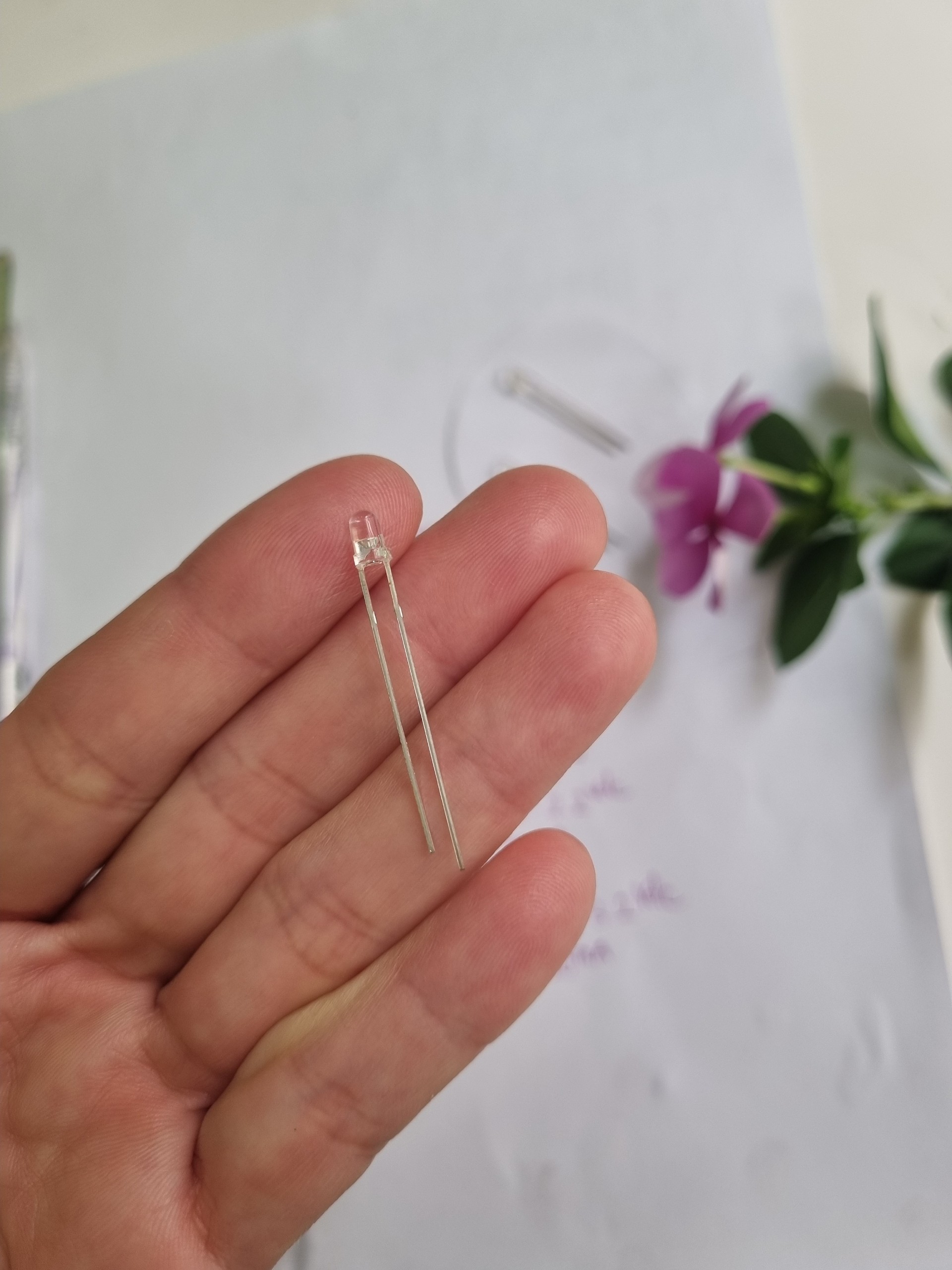 50 con led 3mm vỏ màu trắng trong sáng ra màu đơn sắc