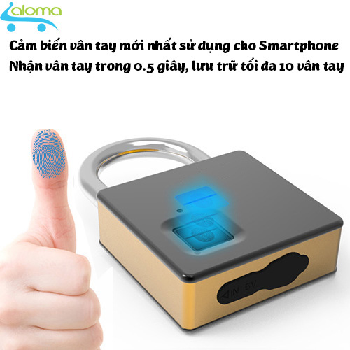 Ổ khóa vân tay kèm chìa khóa cỡ lớn Fipilock FL-S5 chống nước chống phá khóa lưu 10 vân tay gia dụng aloma