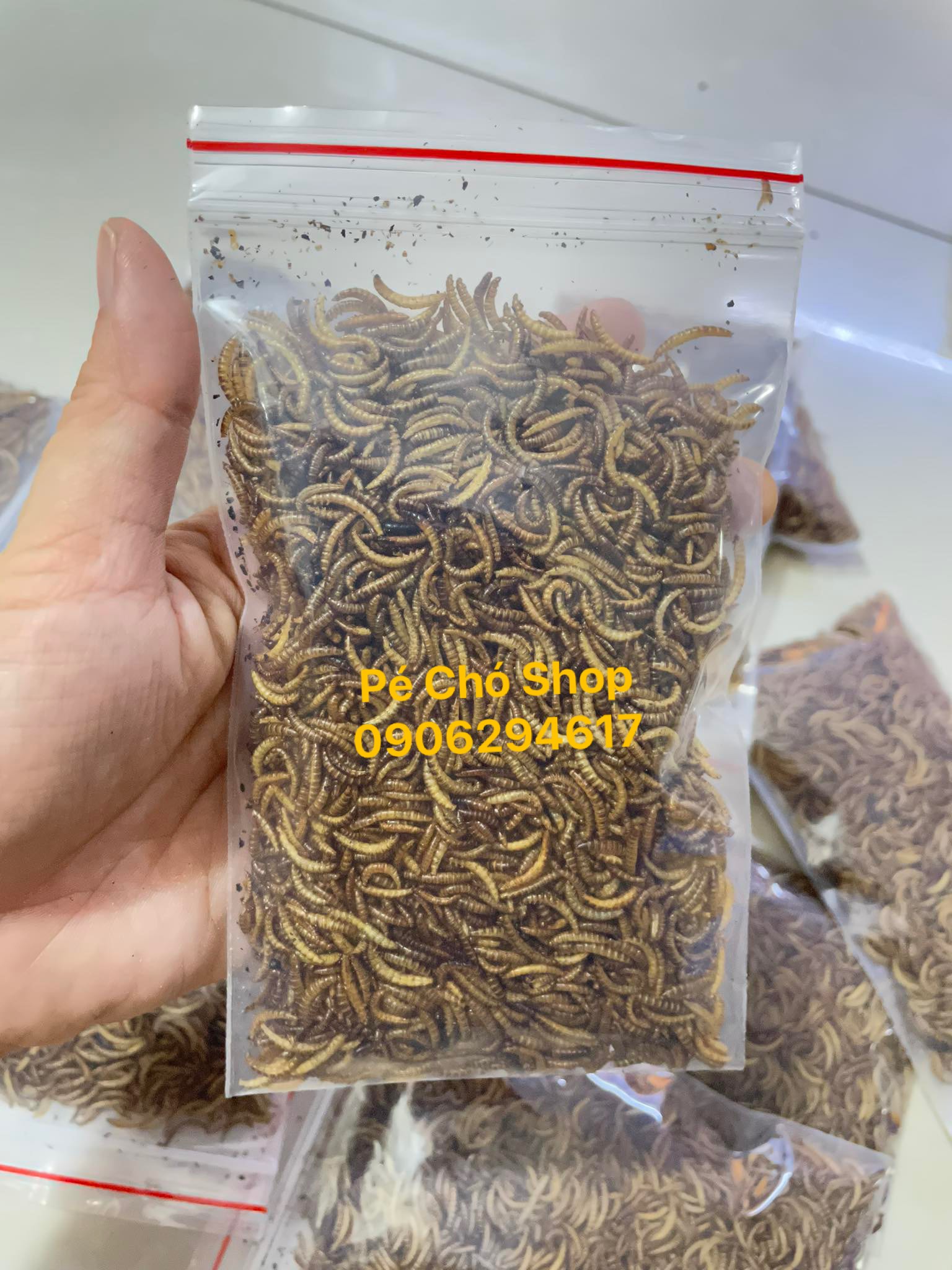 Sâu gạo rang túi nhỏ ăn dặm cho hamster,chim,sóc .