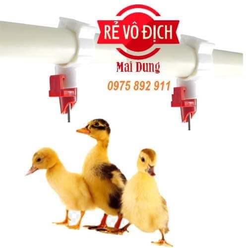 10 cái máng uống tự động cho vịt  dạng núm