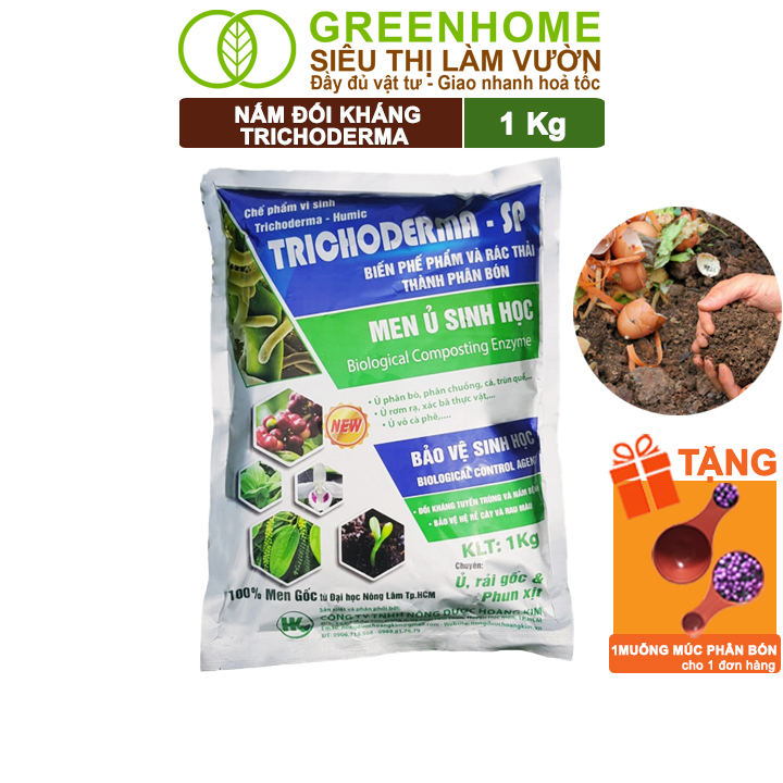 Nấm đối kháng trichoderma, hoàng kim, ủ phân hữu cơ, ủ rác, đậu tương, khử mùi, cải tạo đất