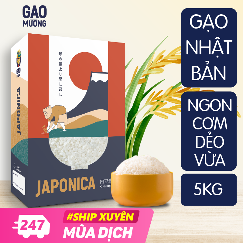 5kg gạo organic japonica nhật bản - gao mường - ngôi sao tây bắc - gạo hữu cơ chuẩn vị, cơm dẻo vừa, thơm ngon