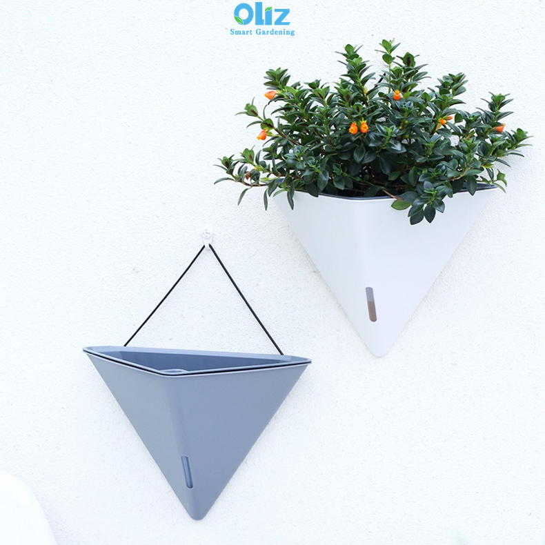 Chậu cây treo tường Oliz K104. Chậu trồng cây có chức năng tự tưới nước cho cây