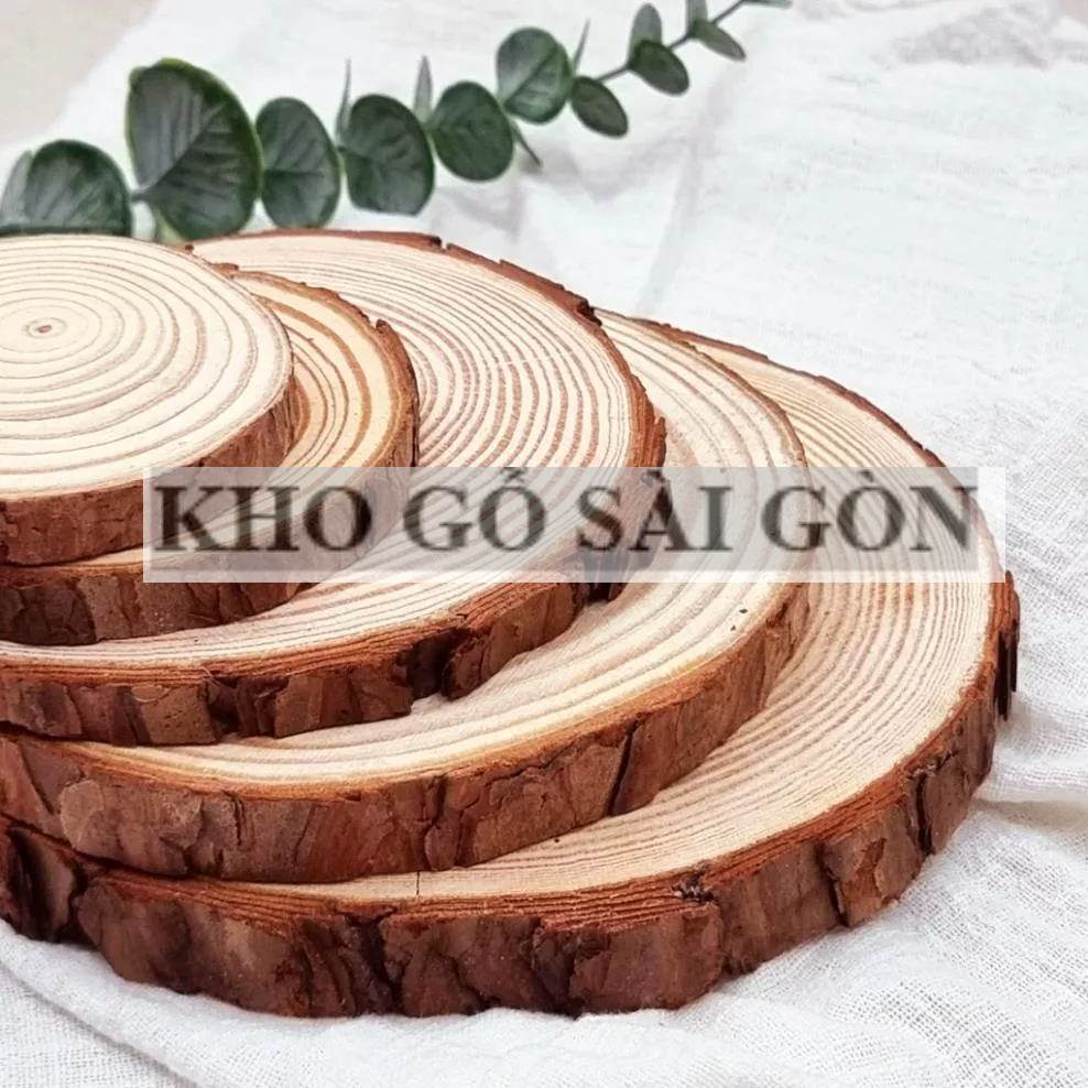 Lát Gỗ Khoanh Tự Nhiên Trang Trí Nhiều Kích Thước